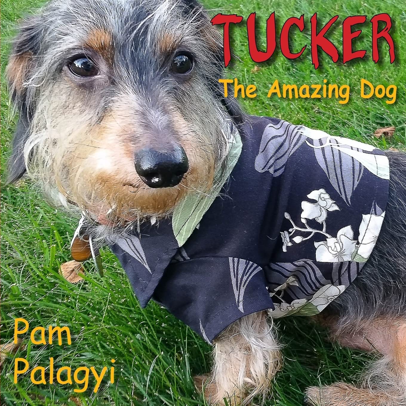 Tucker: The Amazing Dog Non-fiction