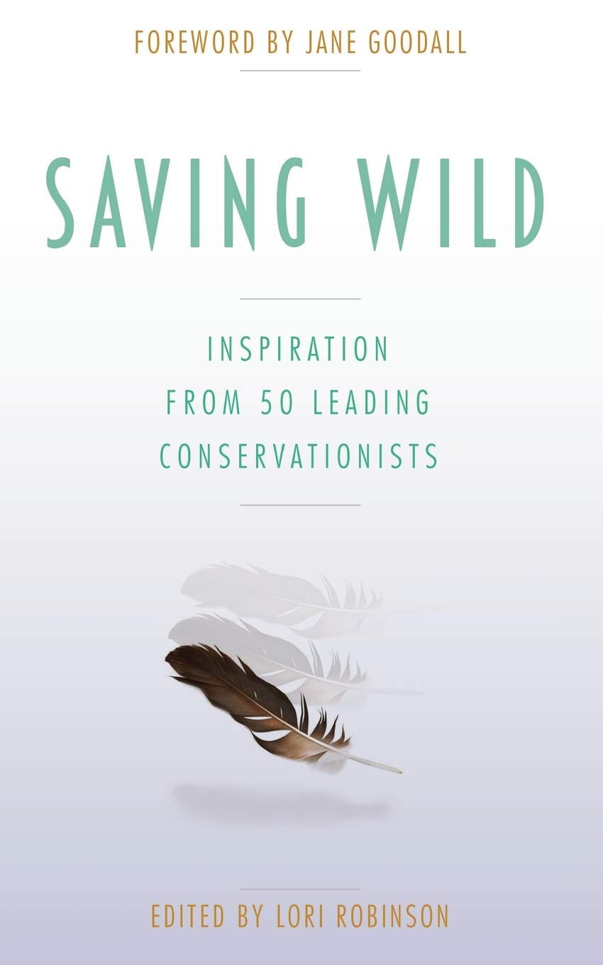 Saving Wild Mathematics