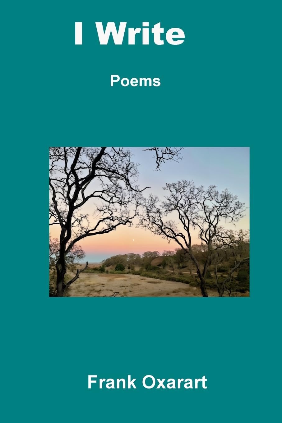 I Write Poetry