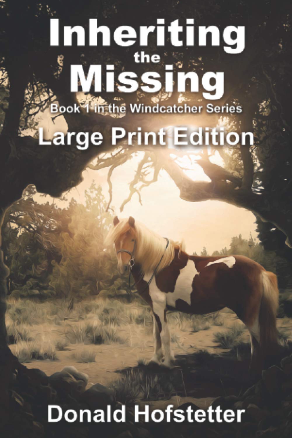 Inheriting the Missing - Large Print (The Windcatcher Series - Large Print, Band 1) Classics