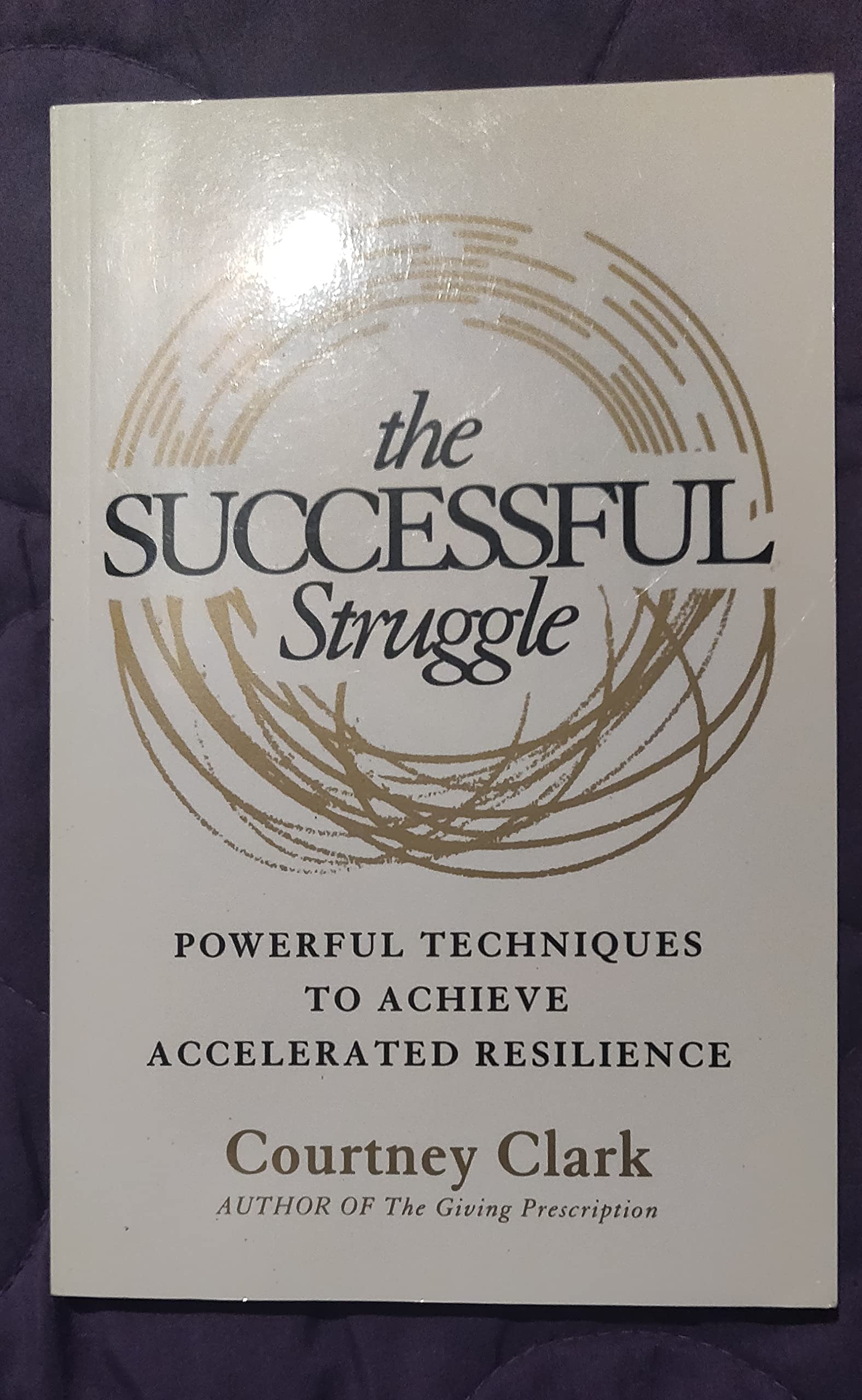 The Successful Struggle: Powerful Techniques to Achieve Accelerated Resilience Lifestyle