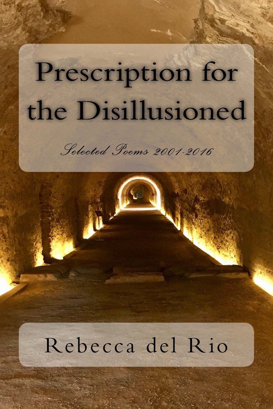 Prescription for the Disillusioned: Selected Poems 2001-2016 Poetry