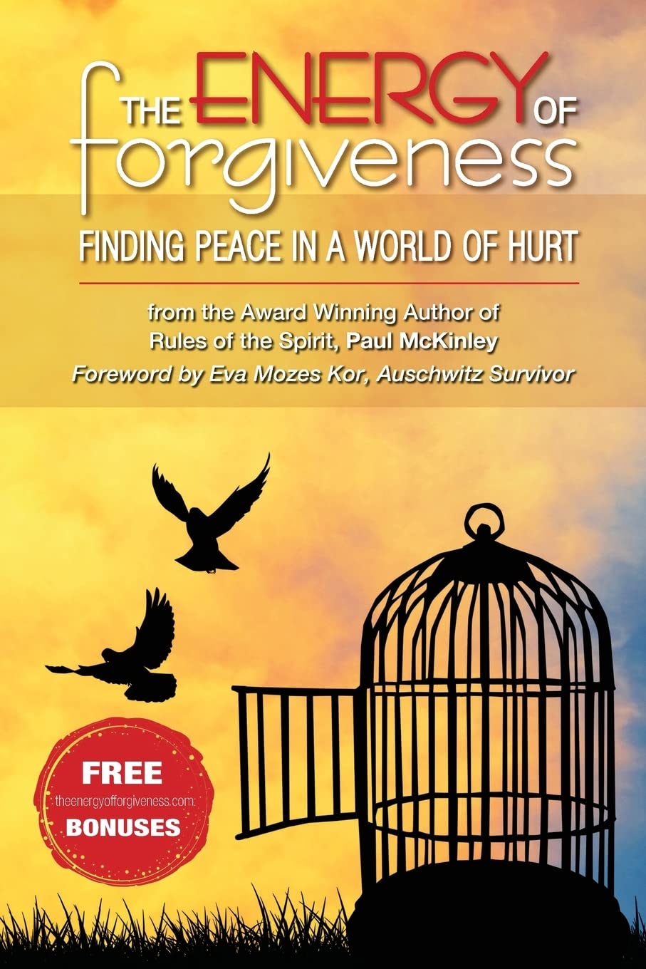 The Energy Of Forgiveness: Finding Peace In A World Of Hurt Religion & Esotericism
