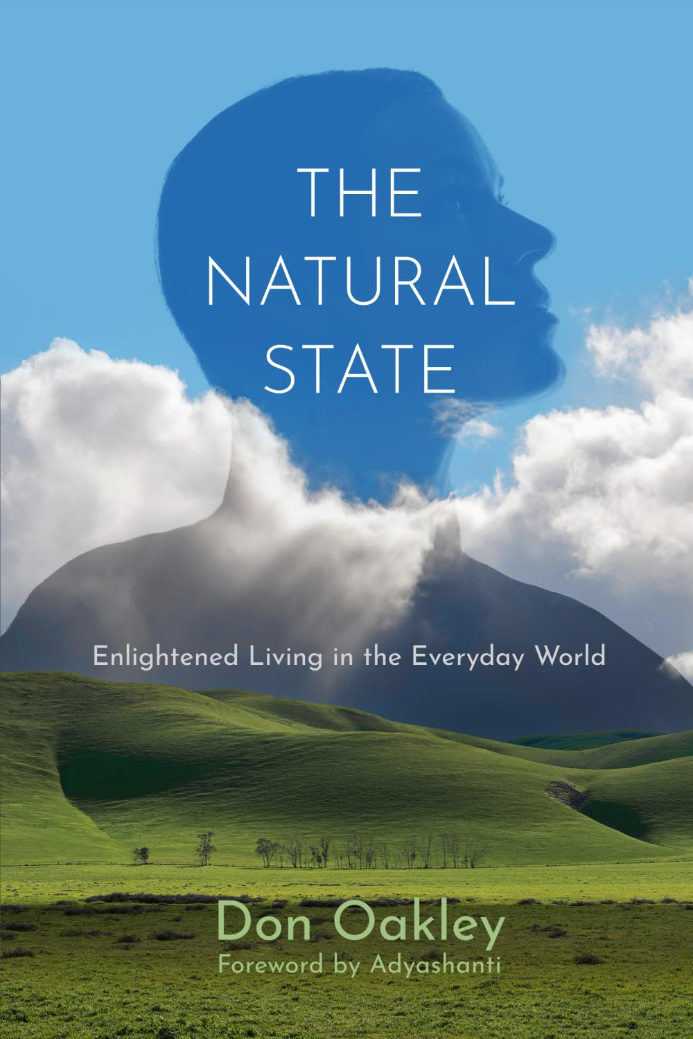 The Natural State: Enlightened Living in the Everyday World Religion & Esotericism
