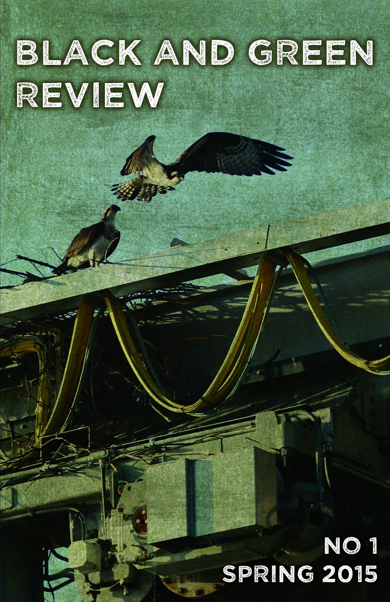 Black and Green Review no 1 by Kevin Tucker (2015-03-11) book