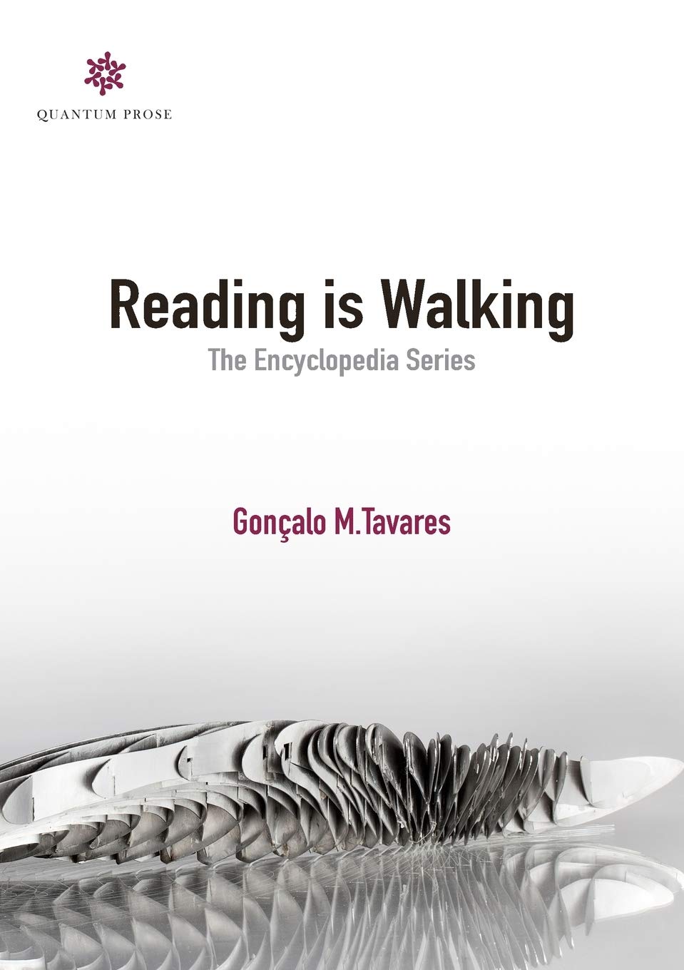 Reading is Walking: The Encyclopedia Series Philosophy