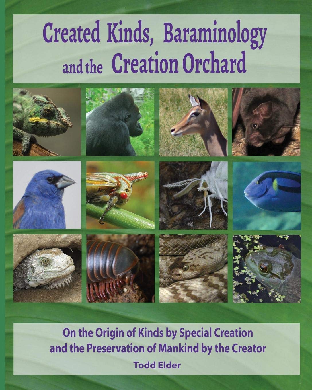 Created Kinds, Baraminology, and the Creation Orchard: On the Origin of Kinds by Special Creation and the Preservation of Mankind by the Creator Leisure, Home & Garden
