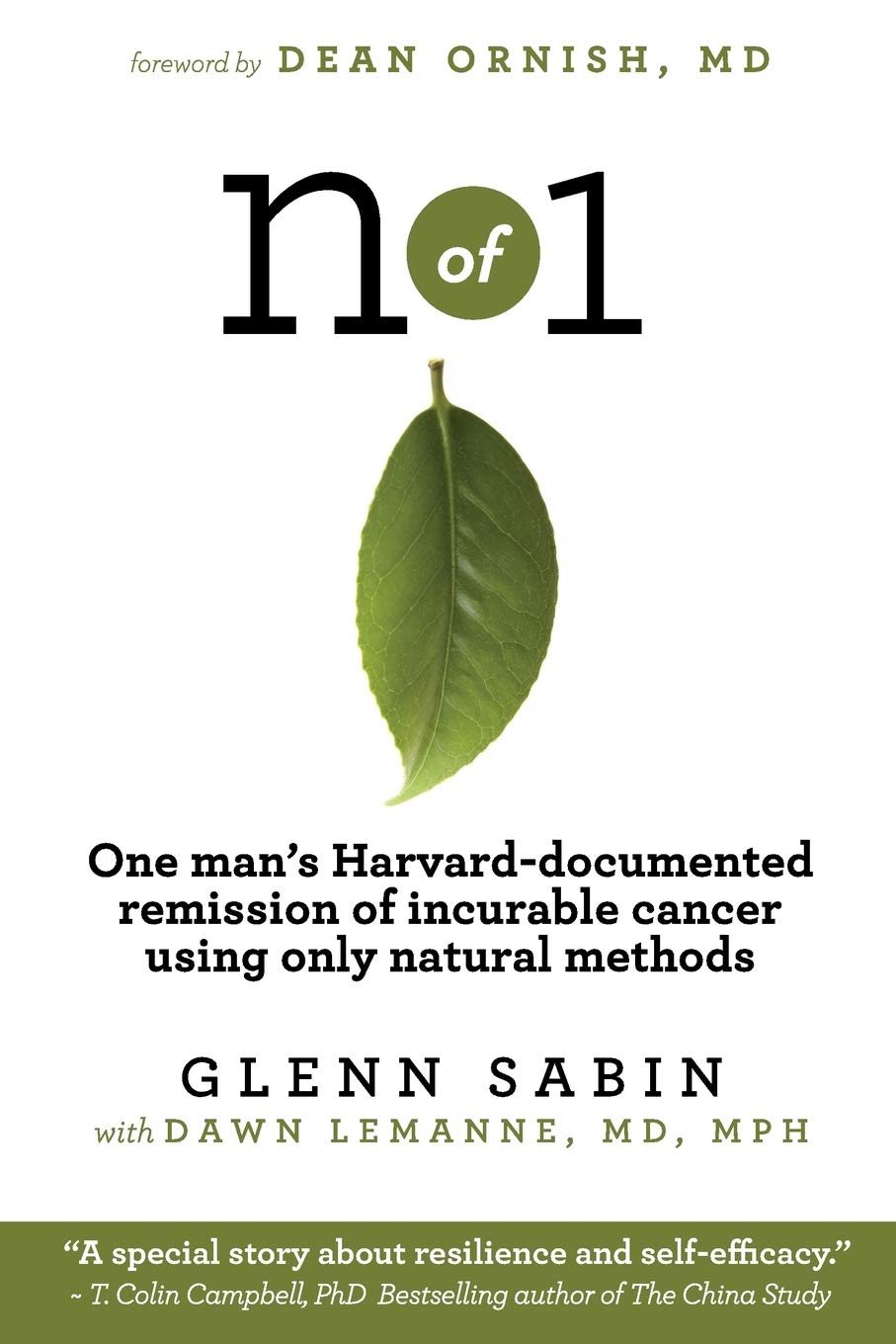 n of 1: One man's Harvard-documented remission of incurable cancer using only natural methods book