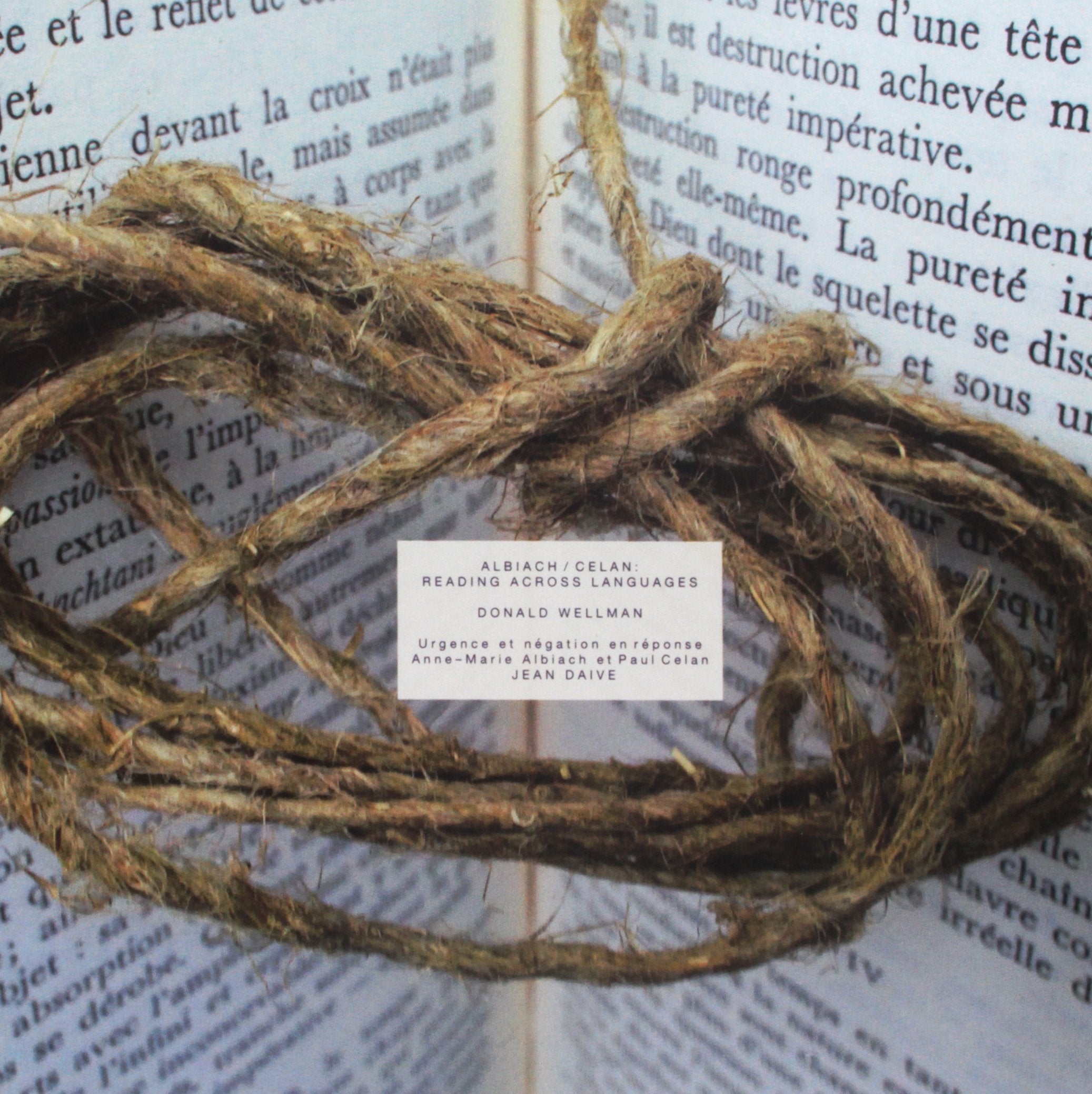 Albiach / Celan: Reading Across Languages: +Surface (Truncated) On Gamoneda book