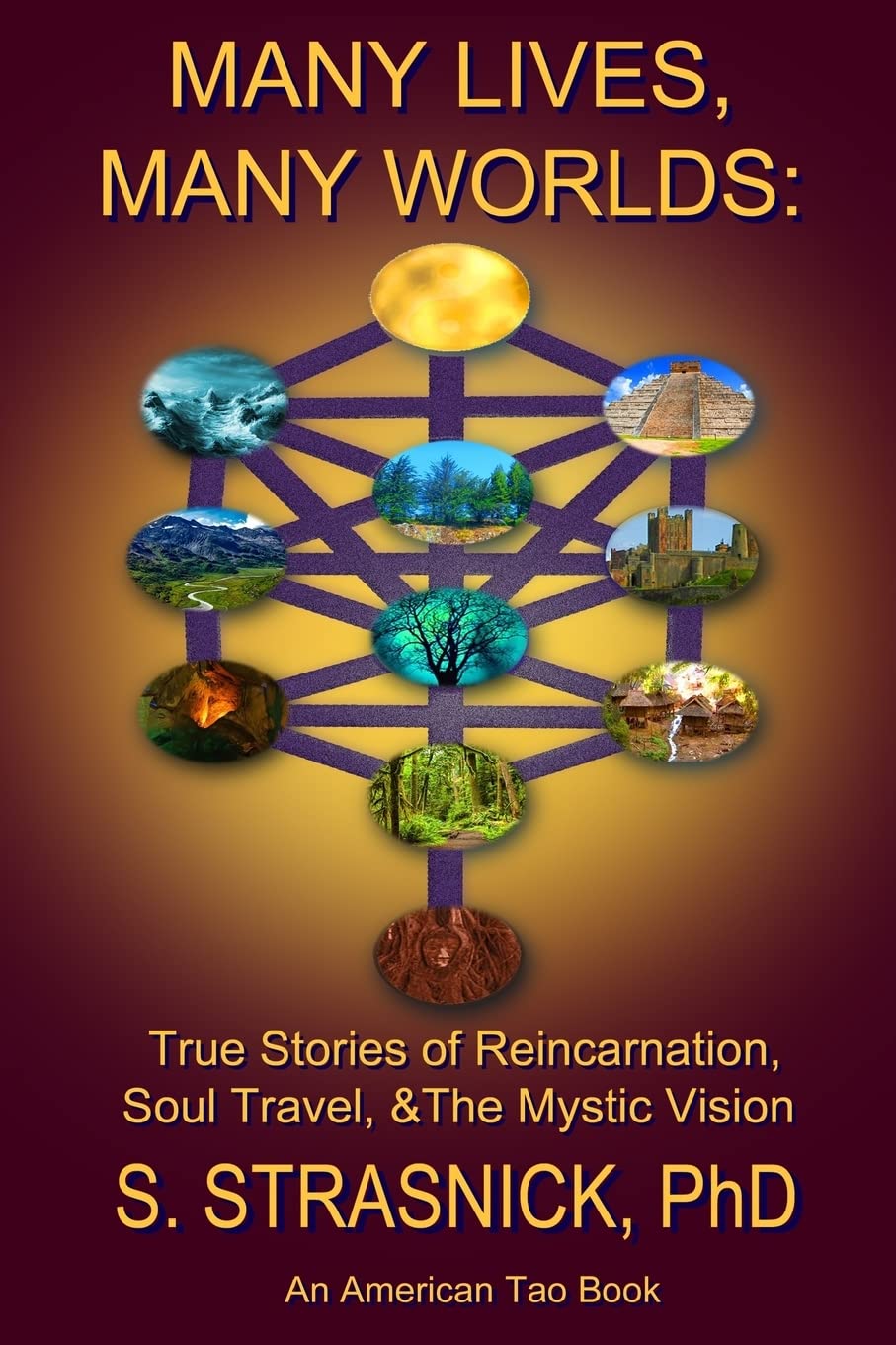 Many Lives, Many Worlds: True Stories of Reincarnation, Soul Travel, & The Mystic Vision book