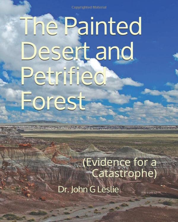 The Painted Desert and Petrified Forest: (Evidence for a Catastrophe) Business & Technology