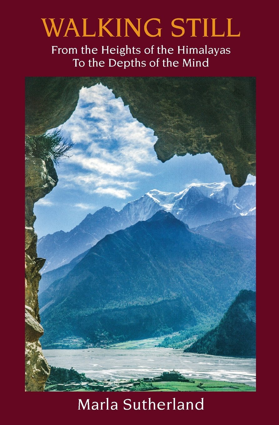 Walking Still: From the Heights of the Himalayas to the Depths of the Mind book