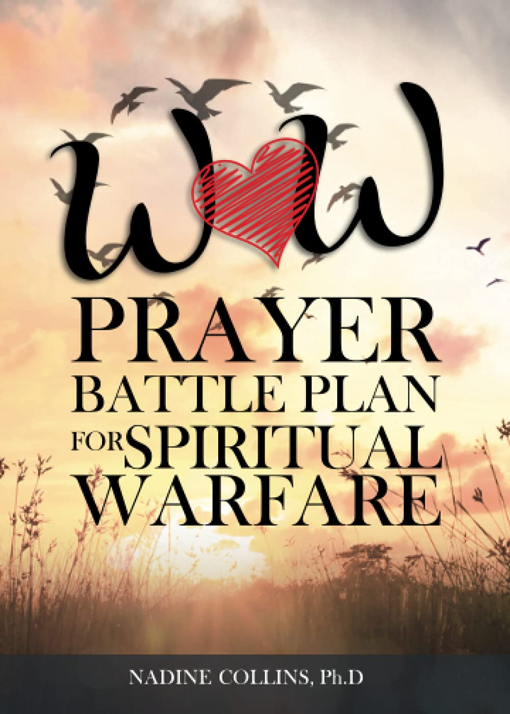 WOW Prayer Battle Plan for Spiritual Warfare book