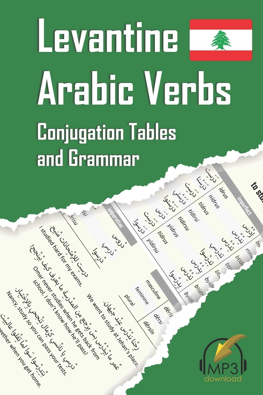 Levantine Arabic Verbs: Conjugation Tables and Grammar book