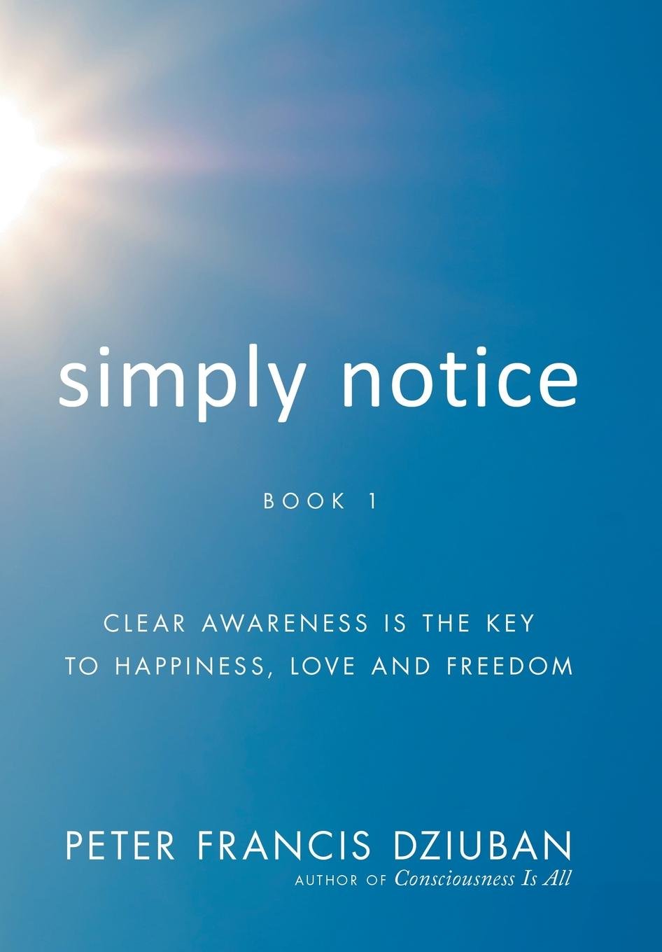 Simply Notice: Clear Awareness is the Key to Happiness, Love and Freedom Philosophy
