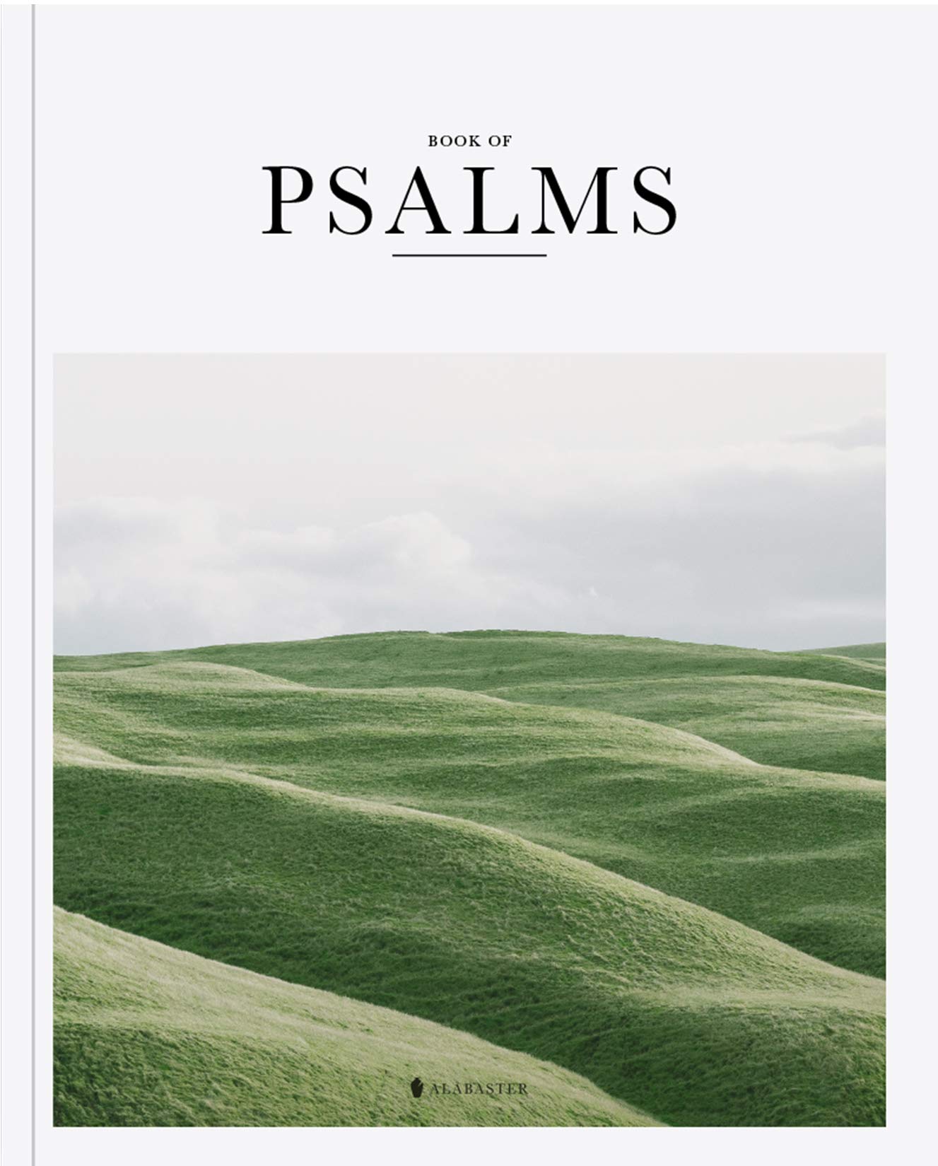 Book of Psalms (Hc, Nlt) Film, Art & Culture
