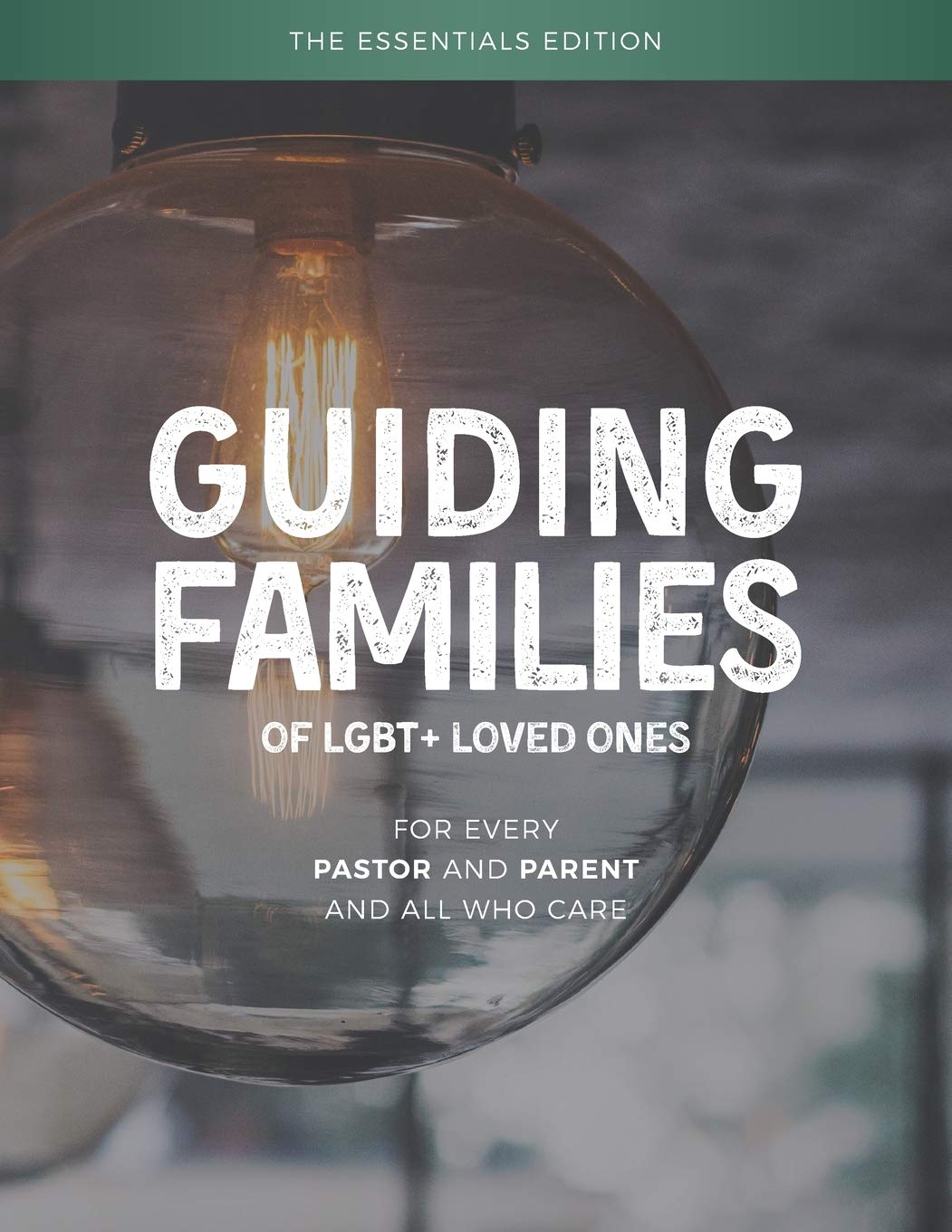 Guiding Families of LGBT+ Loved Ones: The Essentials Edition Social Sciences
