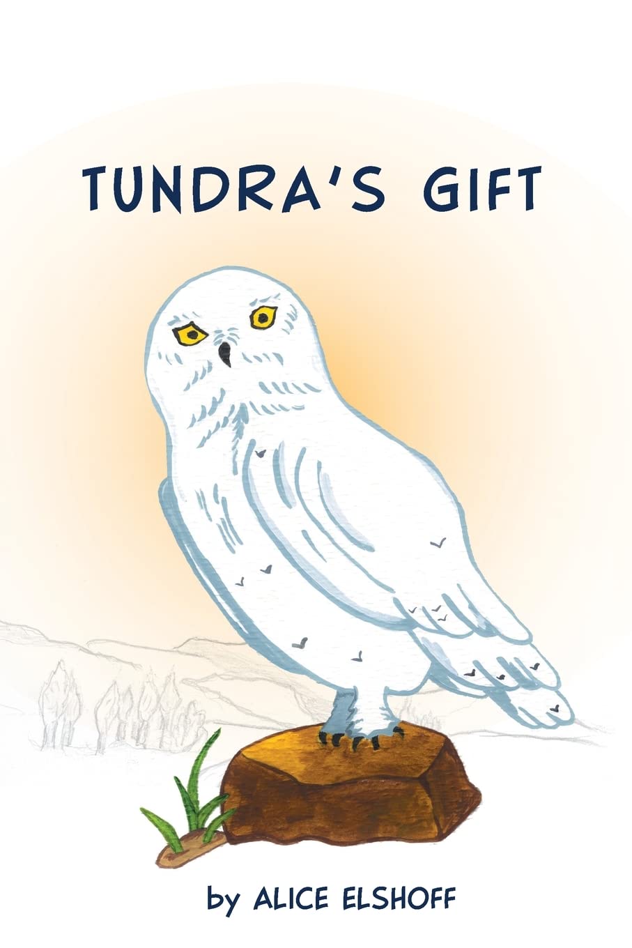 Product Image: Tundra's Gift