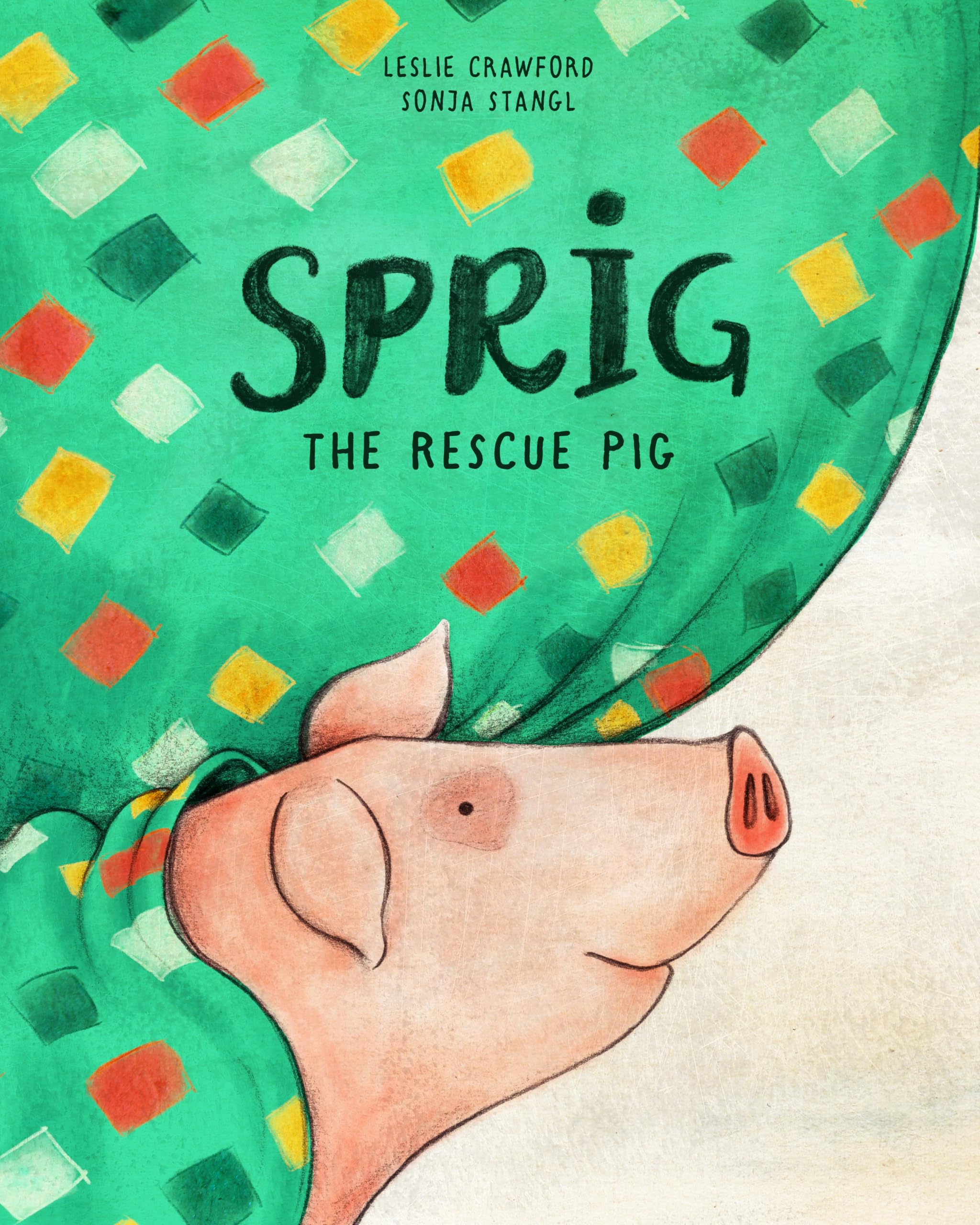Sprig the Rescue Pig Mathematics