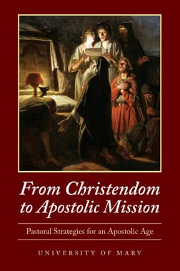 From Christendom to Apostolic Mission : Pastoral Strategies for an Apostolic Age Books