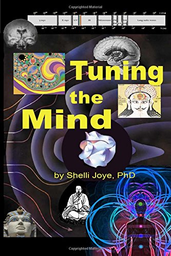 Tuning the Mind: Geometries of Consciousness - Holonomic Brain Theory and the Implicate Order book