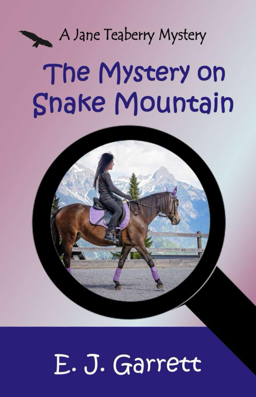 The Mystery on Snake Mountain: A Jane Teaberry Mystery (Jane Teaberry Mysteries, Band 2) Non-fiction