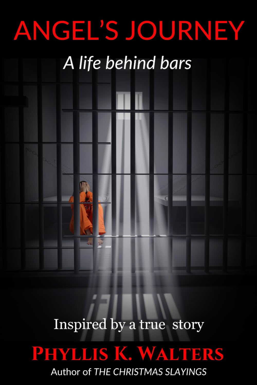 Angel's Journey: Life Behind Bars Contemporary literature