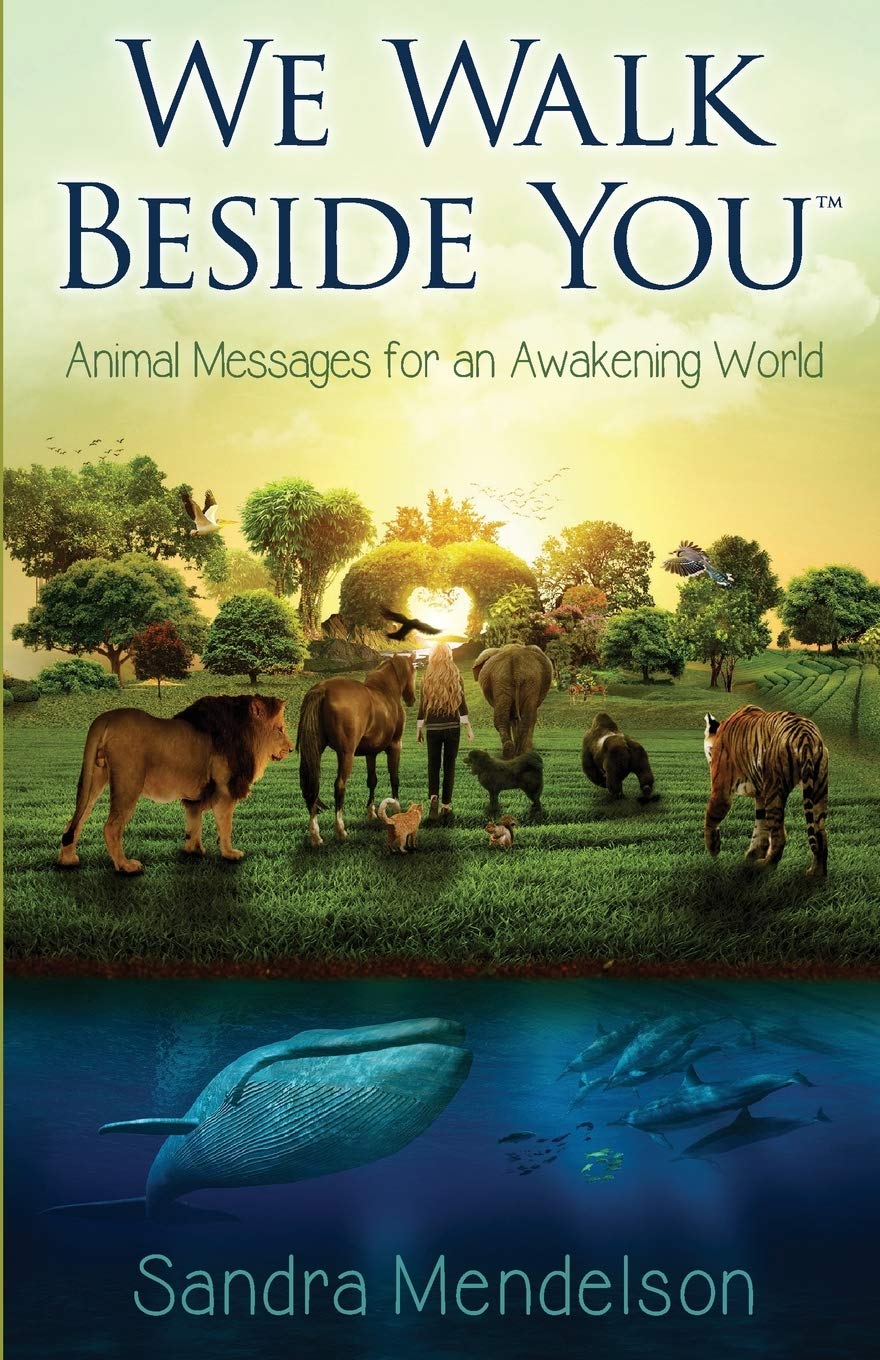 We Walk Beside You: Animal Messages for an Awakening World Mathematics