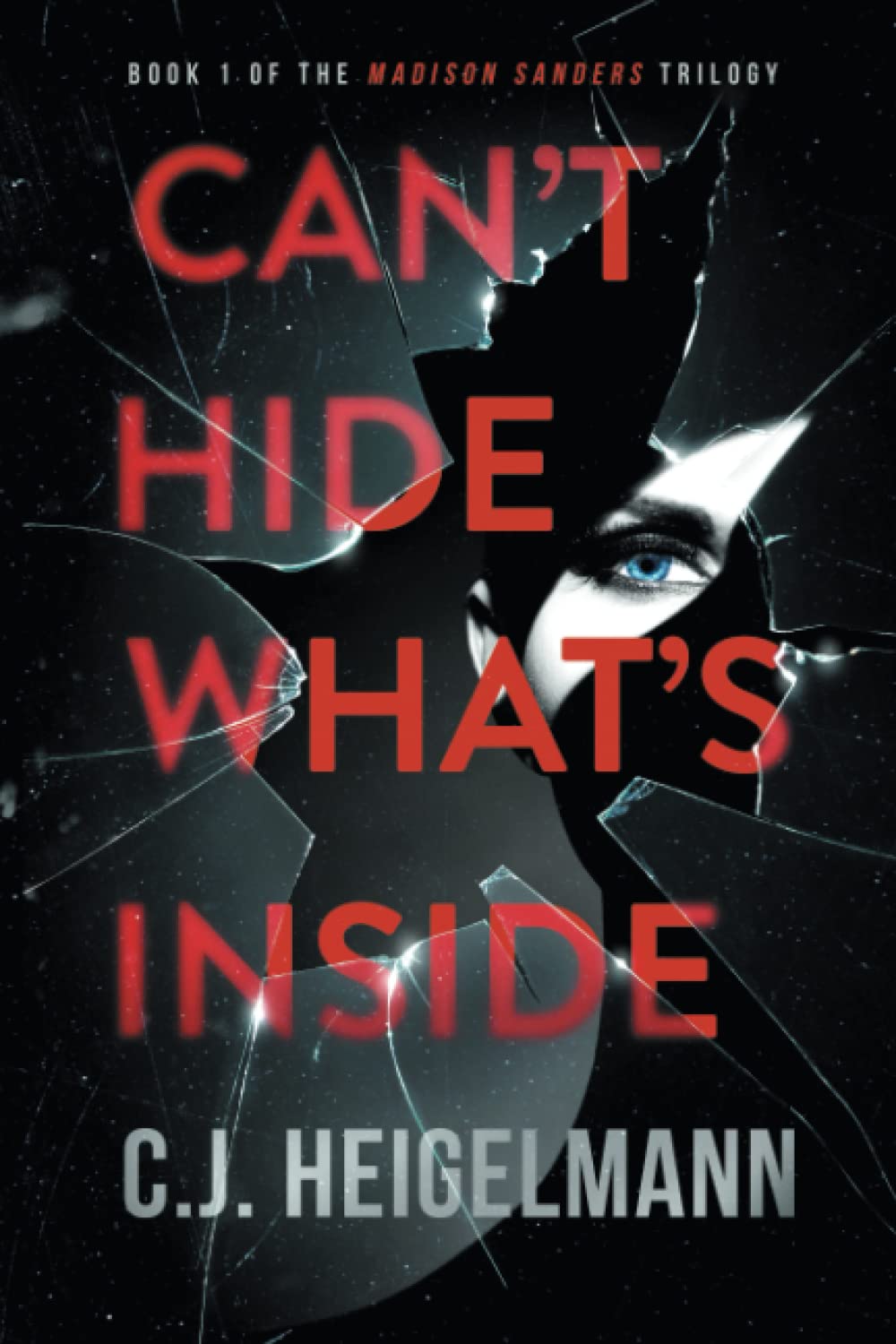 Can't Hide What's Inside (The Madison Sanders Trilogy, Band 1) Action & Adventure