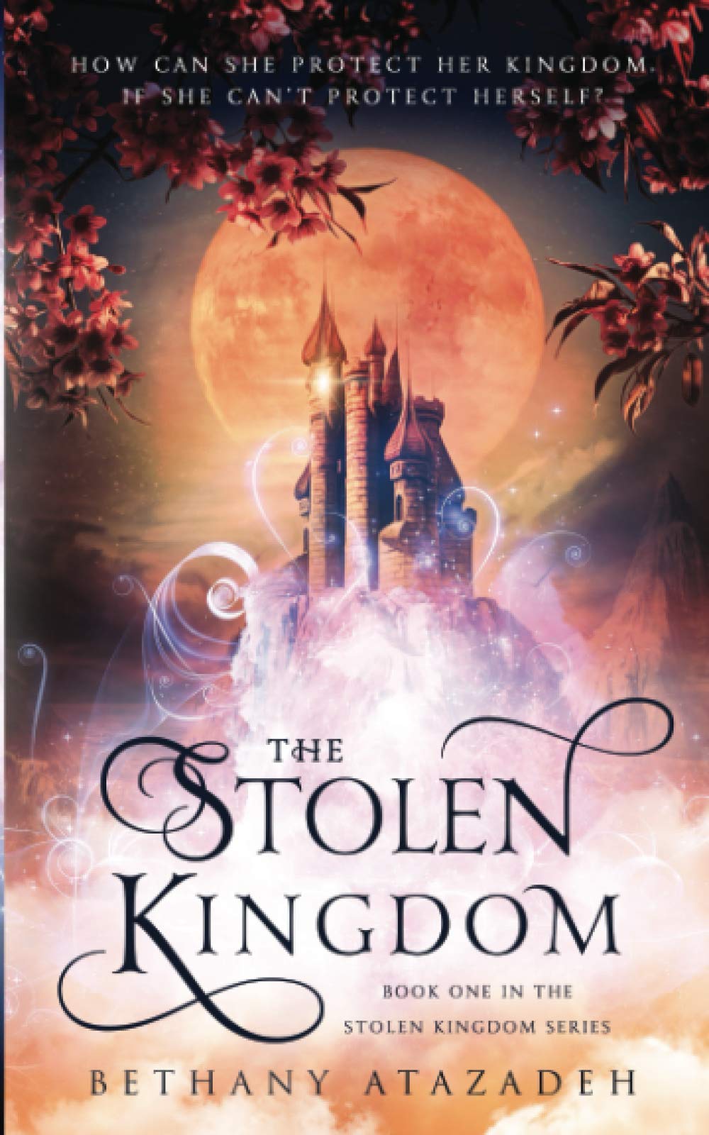 The Stolen Kingdom: An Aladdin Retelling (The Stolen Kingdom Series, Band 1) Fiction