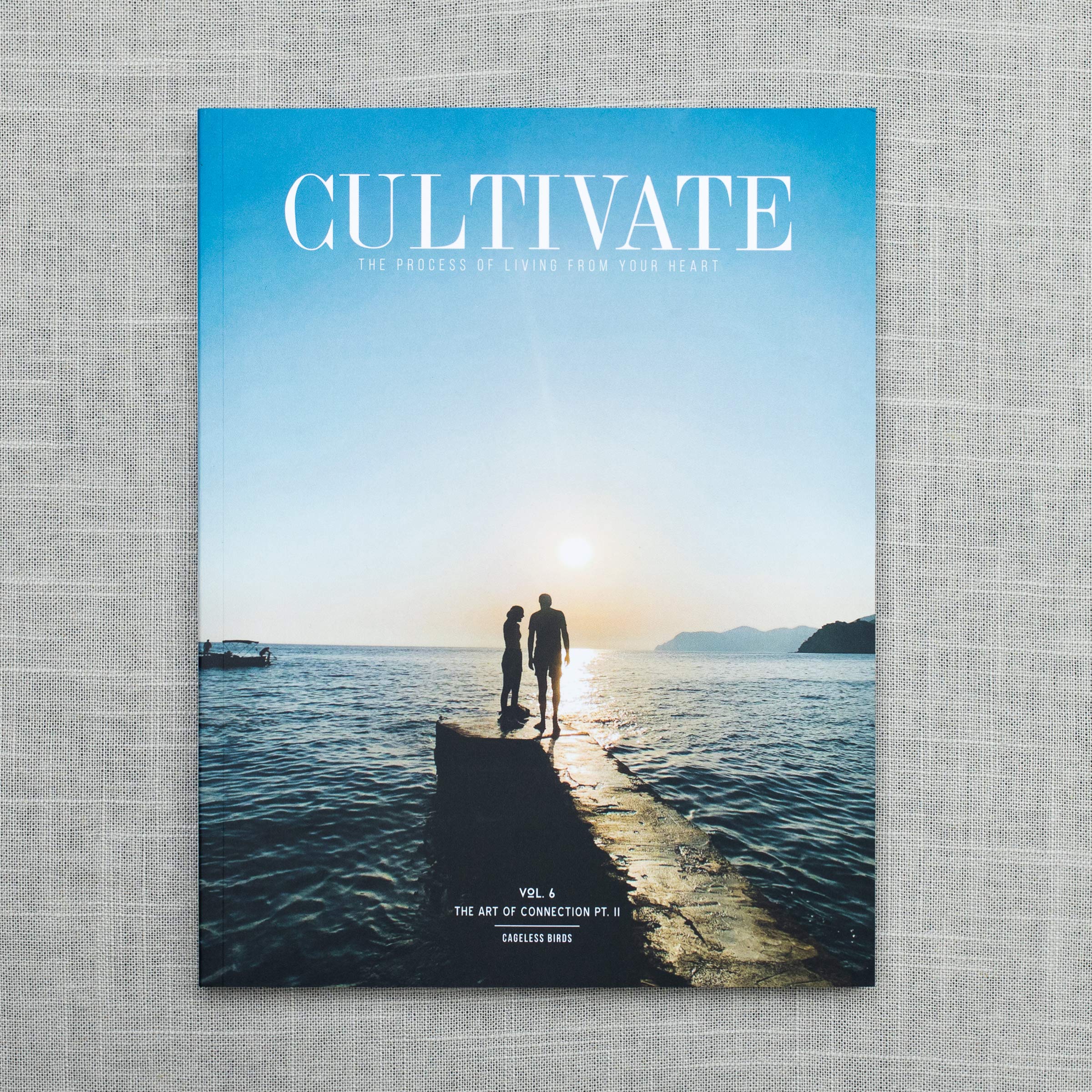 CULTIVATE - Vol. VI : The Art of Connection Pt. 2 Books