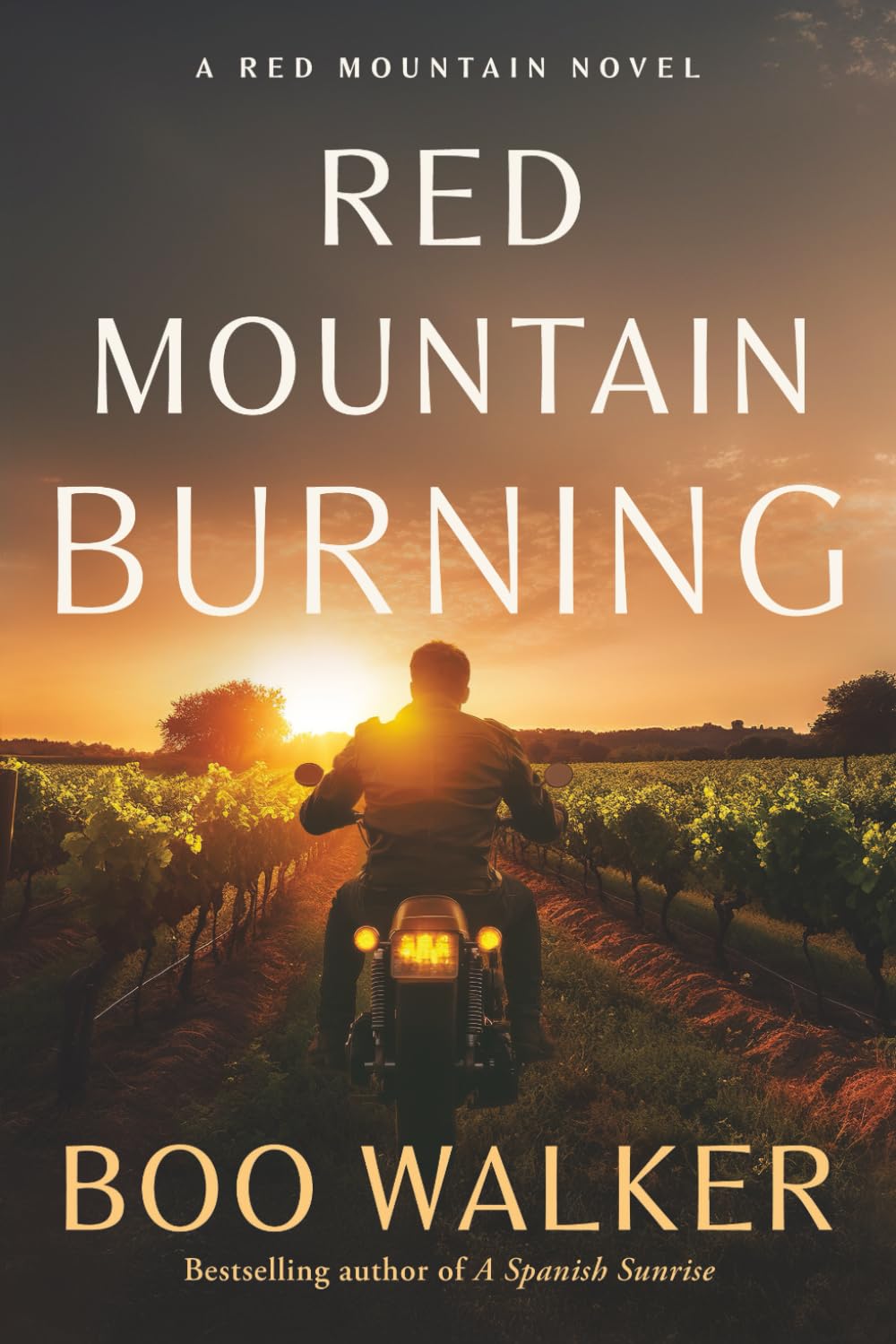 Red Mountain Burning: A Novel (Red Mountain Chronicles, Band 3) Contemporary literature