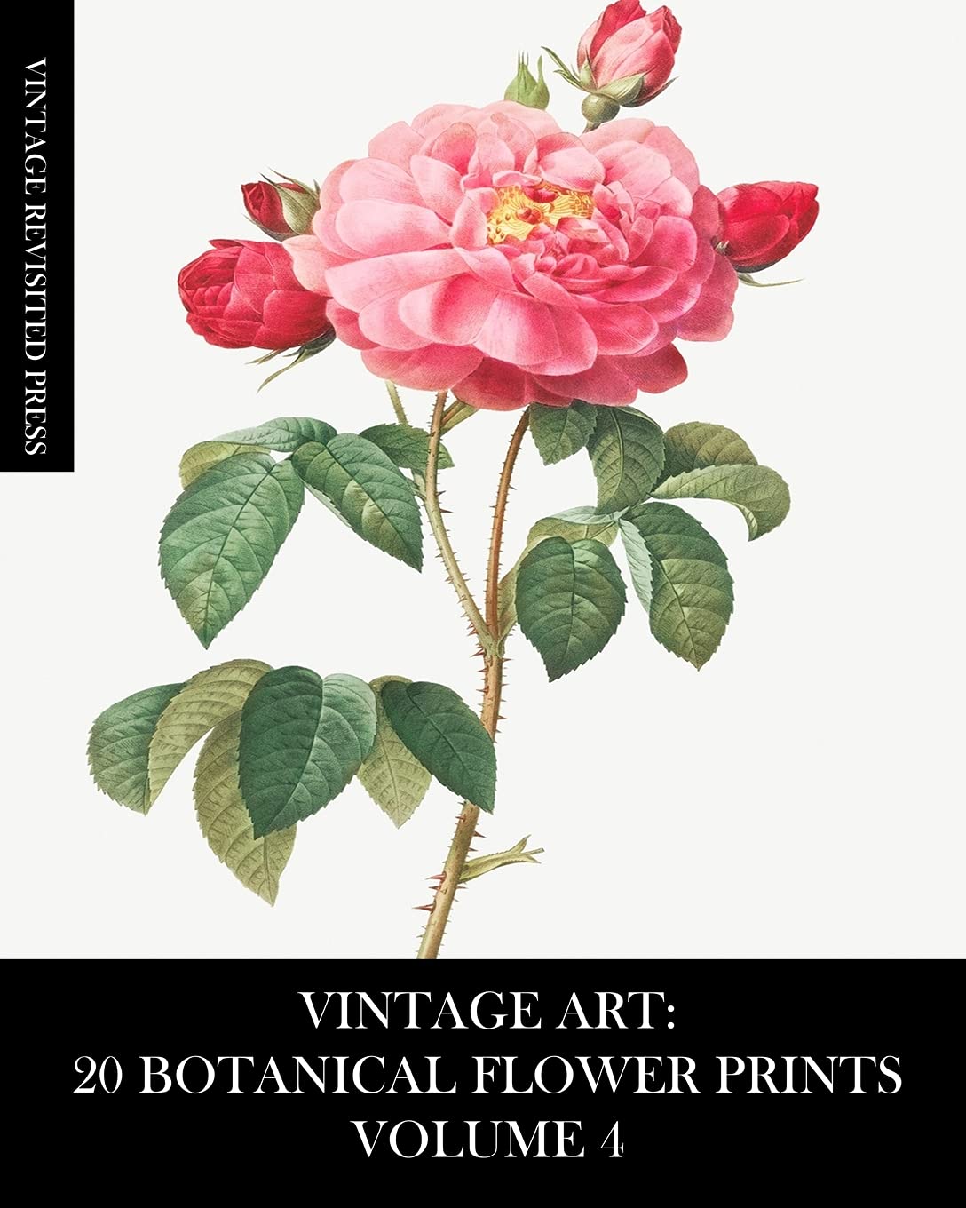 Vintage Art: 20 Botanical Flower Prints Volume 4: Ephemera for Framing, Collage, Decoupage and Junk Journals Photography