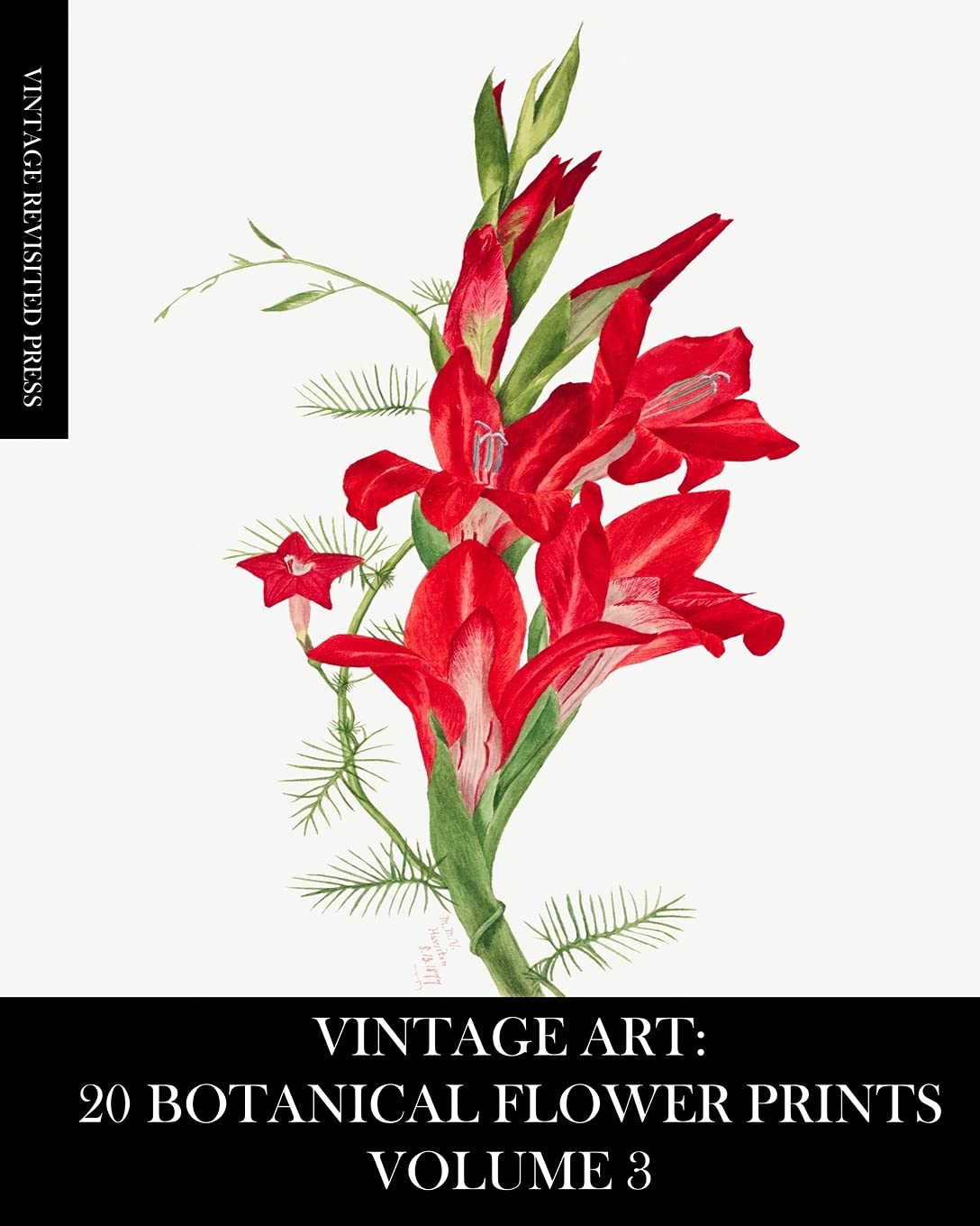 Vintage Art: 20 Botanical Flower Prints Volume 3: Ephemera for Framing, Junk Journals, Mixed Media and Decoupage book
