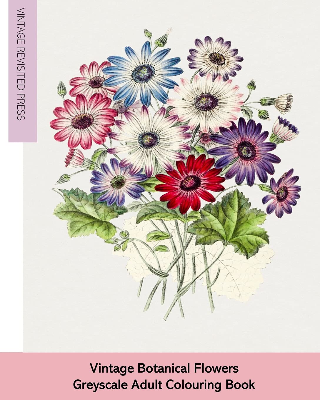 Vintage Botanical Flowers Photography