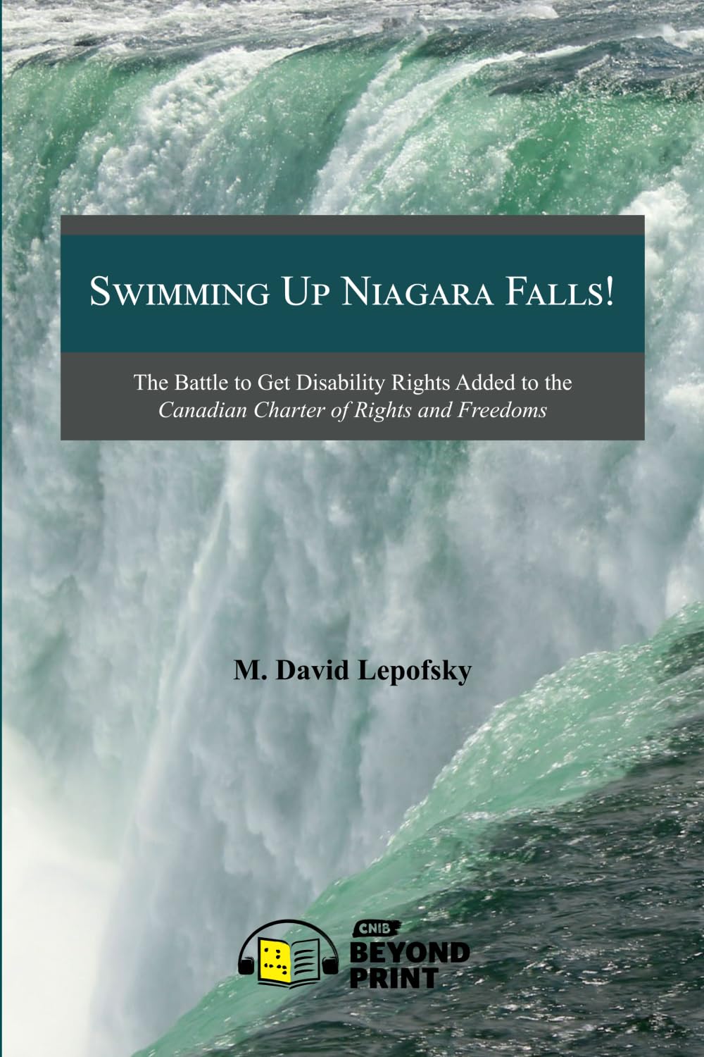 Swimming Up Niagara Falls!: The Battle to Get Disability Rights Added to the Canadian Charter of Rights and Freedoms Books