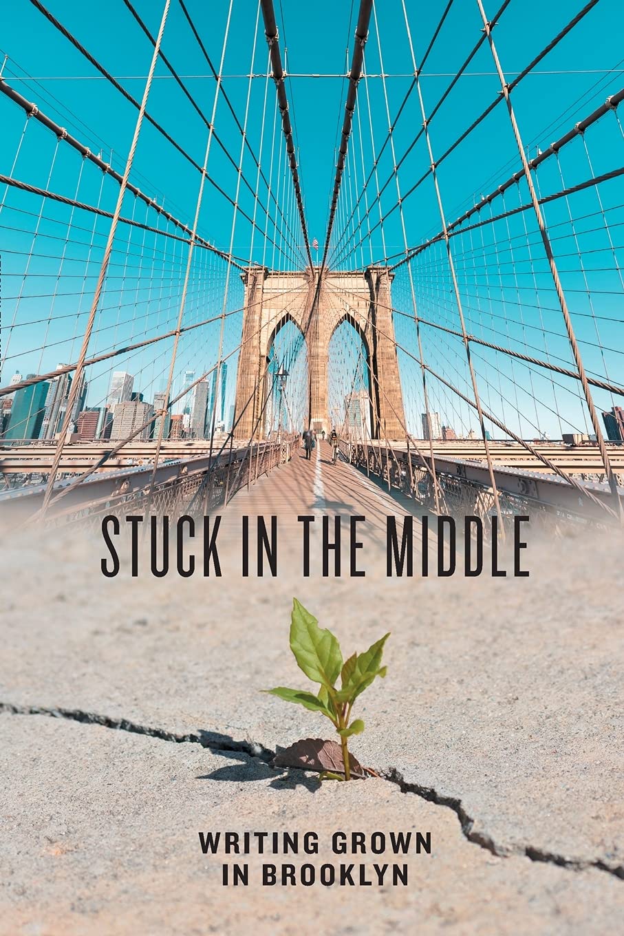 Stuck in the Middle: Writing Grown in Brooklyn book