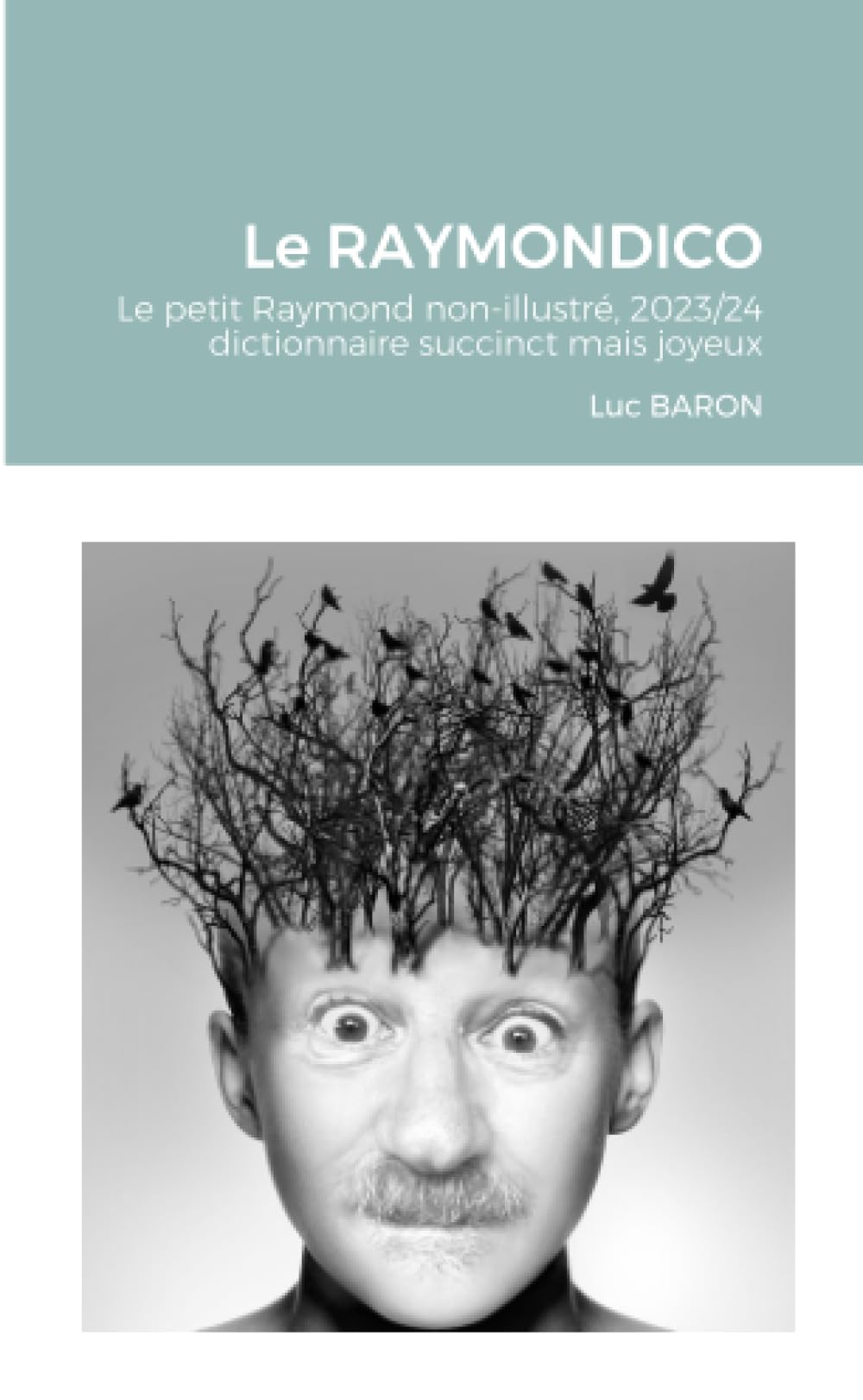 Le RAYMONDICO: Dictionnaire succinct mais joyeux book
