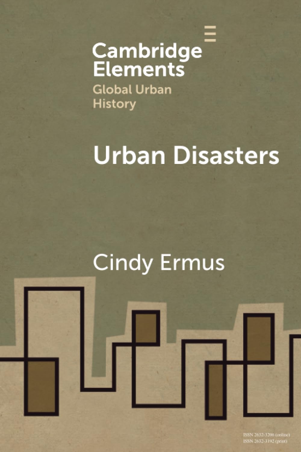 Urban Disasters Books