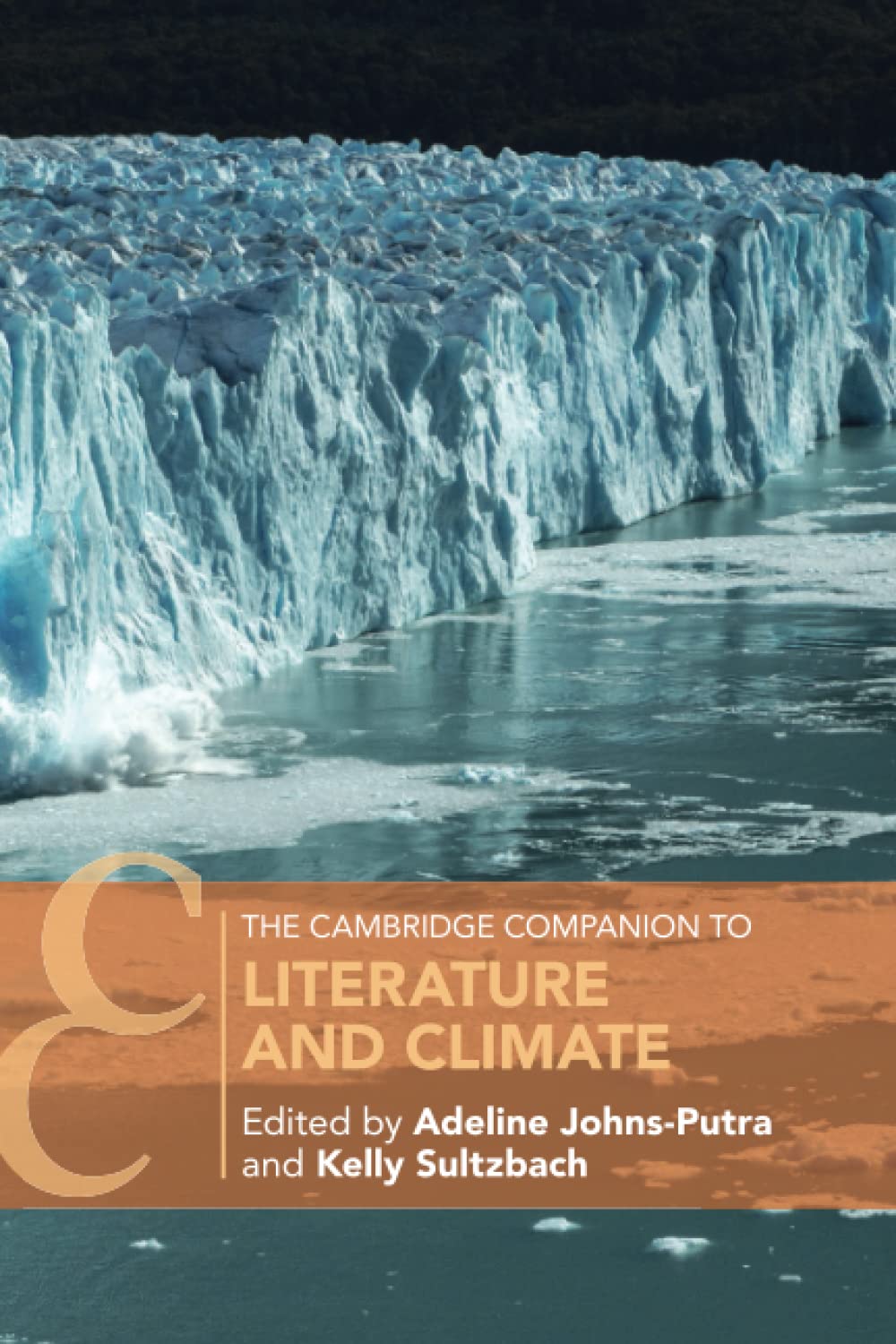 The Cambridge Companion to Literature and Climate book