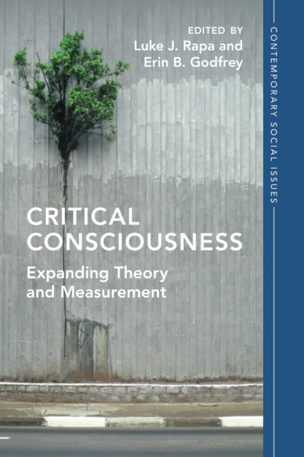 Critical Consciousness: Expanding Theory and Measurement (Contemporary Social Issues) Social Sciences