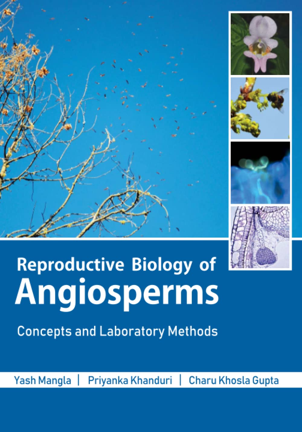 Reproductive Biology of Angiosperms: Concepts and Laboratory Methods Mathematics