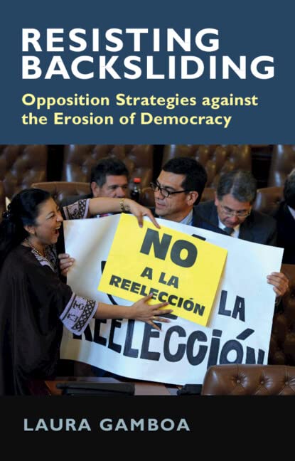 Resisting Backsliding: Opposition Strategies against the Erosion of Democracy book