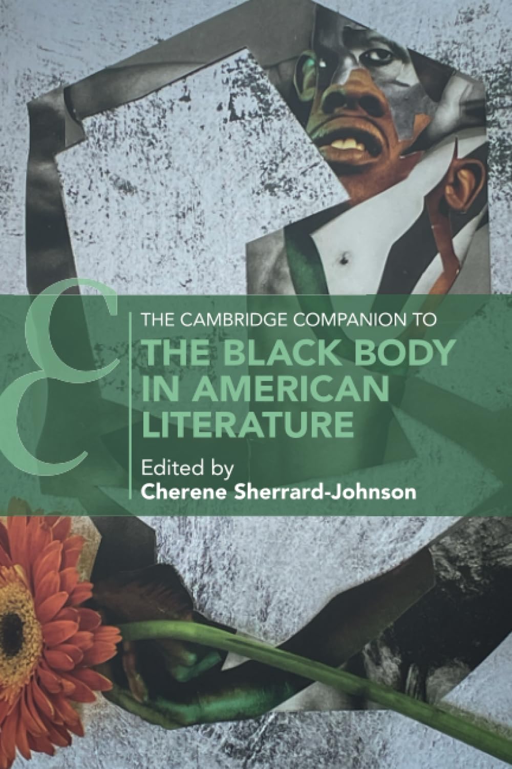 The Cambridge Companion to the Black Body in American Literature (Cambridge Companions to Literature) Contemporary literature Books