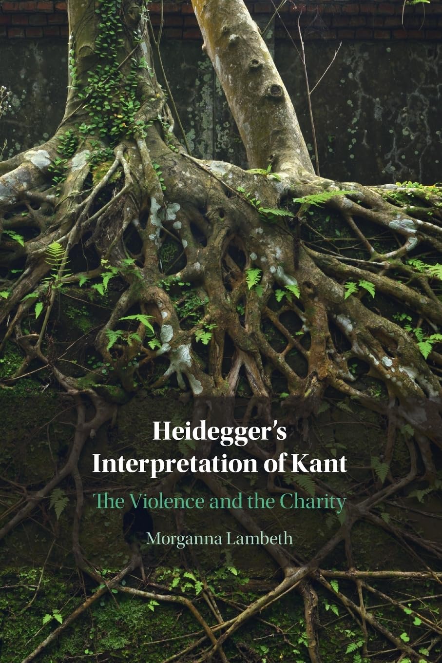 Heidegger's Interpretation of Kant: The Violence and the Charity book