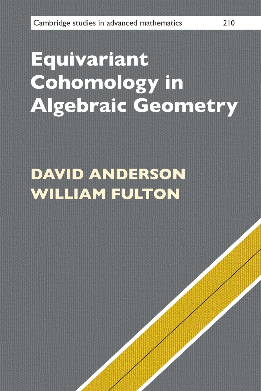 Equivariant Cohomology in Algebraic Geometry (Cambridge Studies in Advanced Mathematics, 210) Mathematics