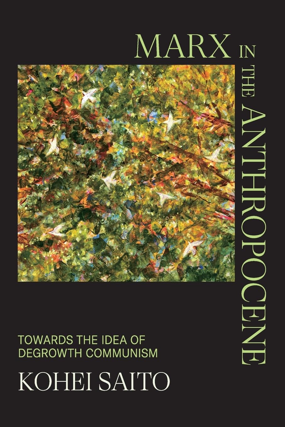 Product Image: Marx in the Anthropocene
