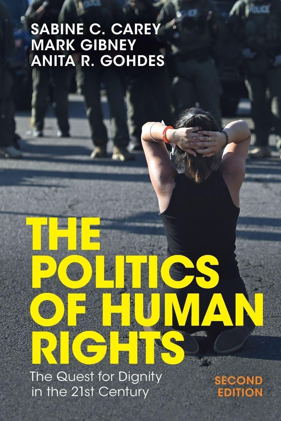 The Politics of Human Rights Law