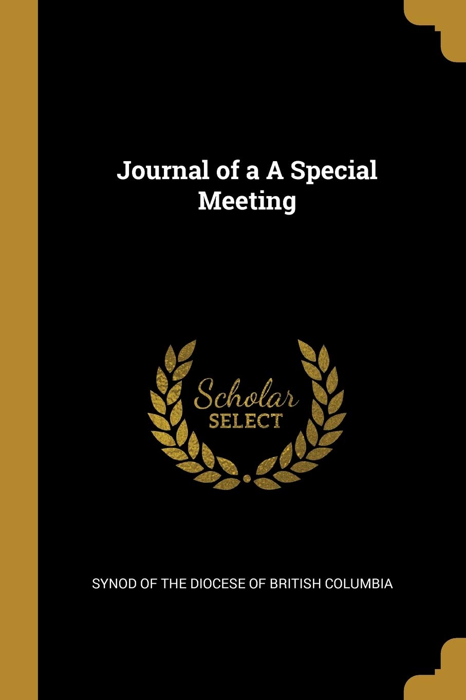 Journal of A A Special Meeting Politics & History