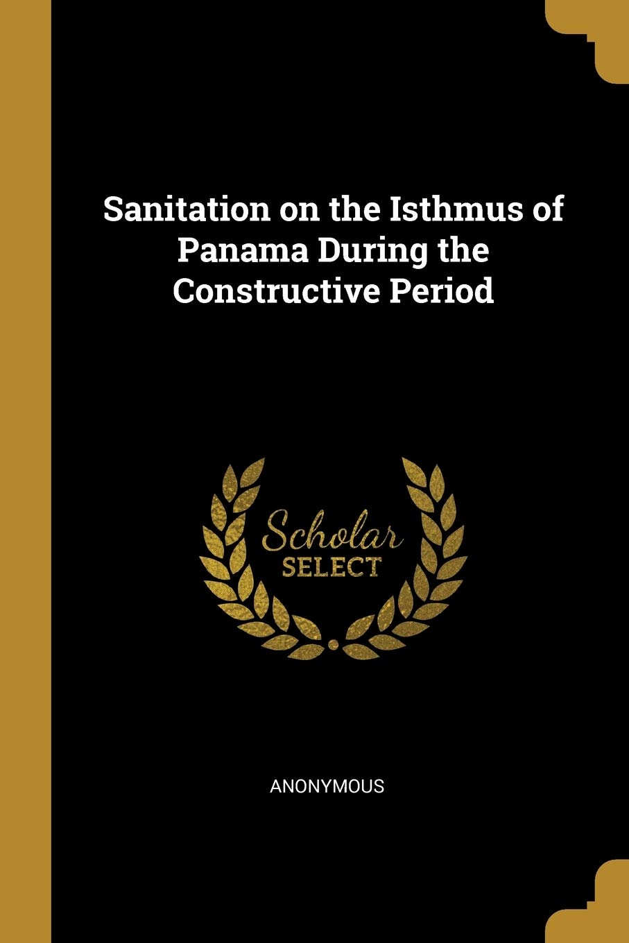 Sanitation on the Isthmus of Panama During the Constructive Period book